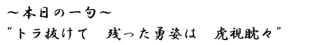本日の一句 トラ抜けて 残った勇姿は 虎視眈々