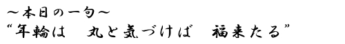 本日の一句　　&ldquo;年輪は　丸と気づけば　福来たる